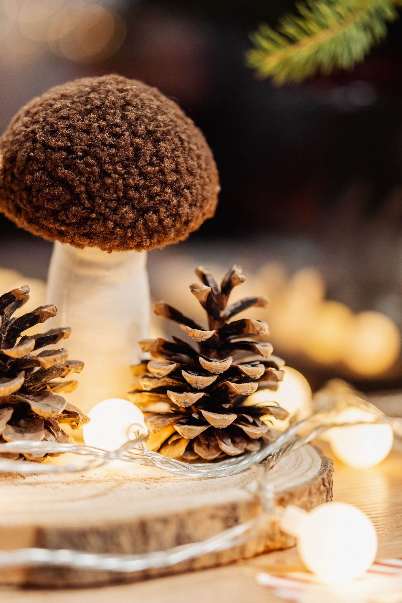 Karácsonyfaköszöntő a Varázsvölgyben 2025. november 30. 