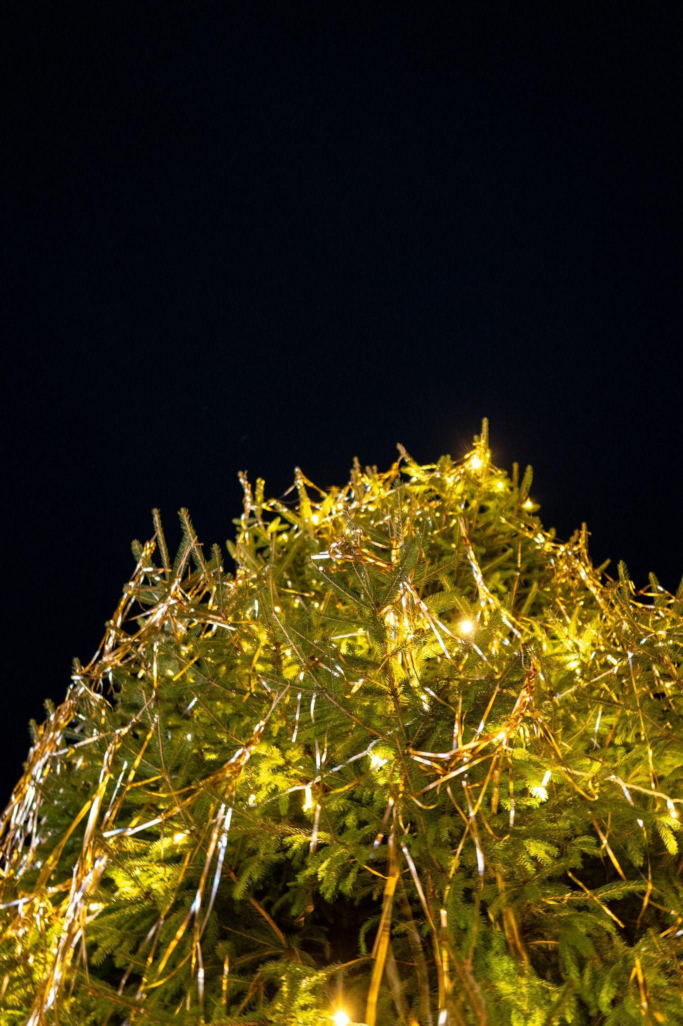 Karácsonyfaköszöntő a Varázsvölgyben 2025. november 30. 