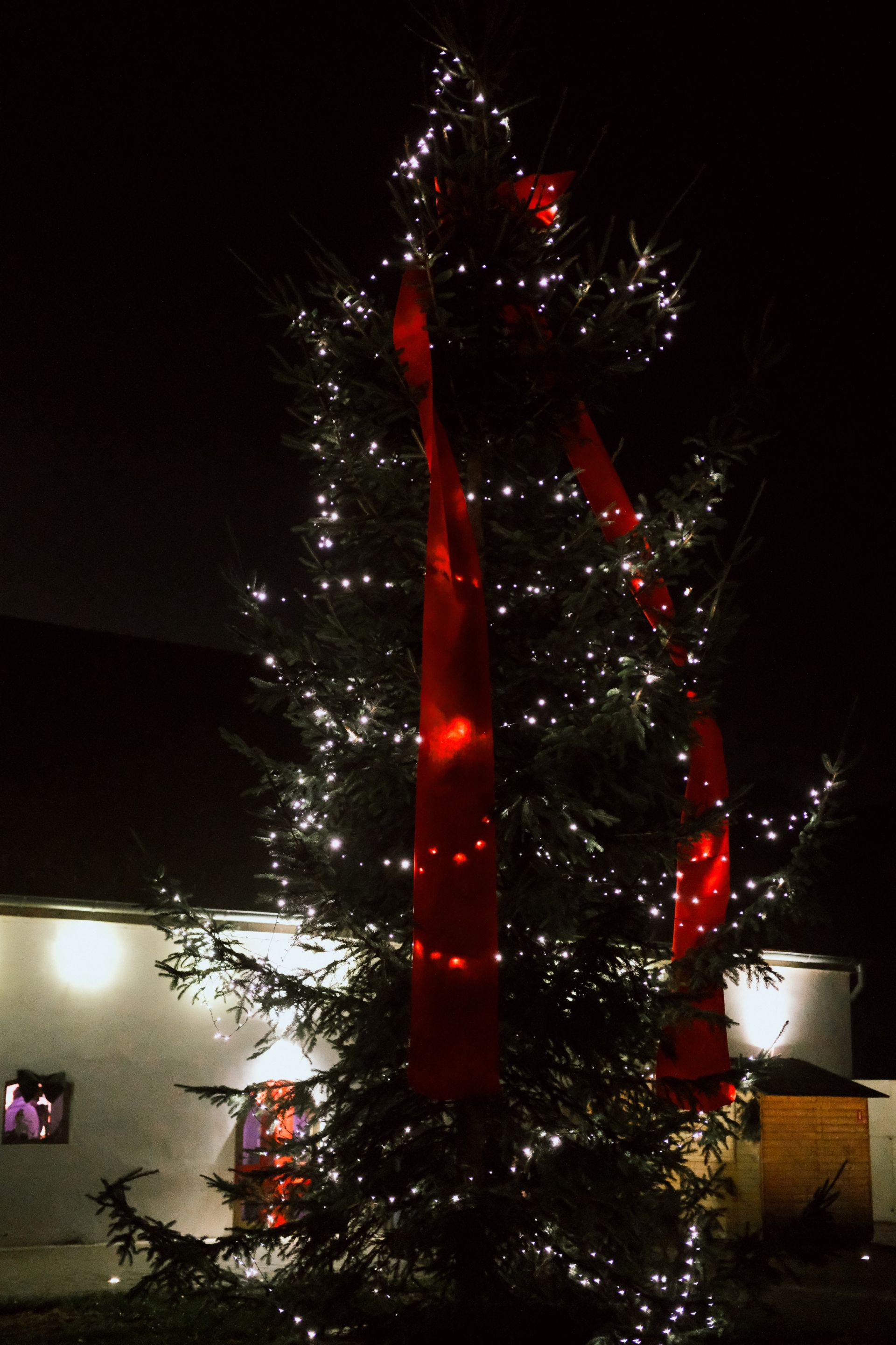 Találkozz a Mikulással - 2024. december 4-6.