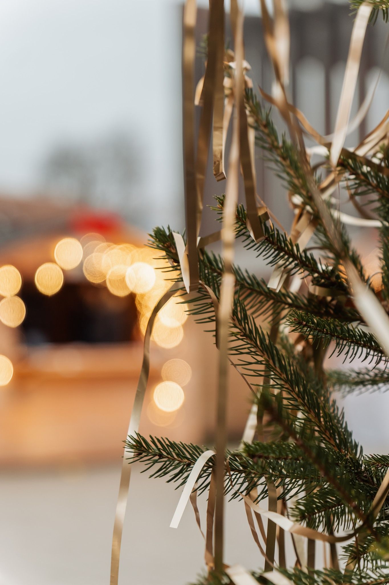 Karácsonyfaköszöntő a Varázsvölgyben 2025. november 30. 