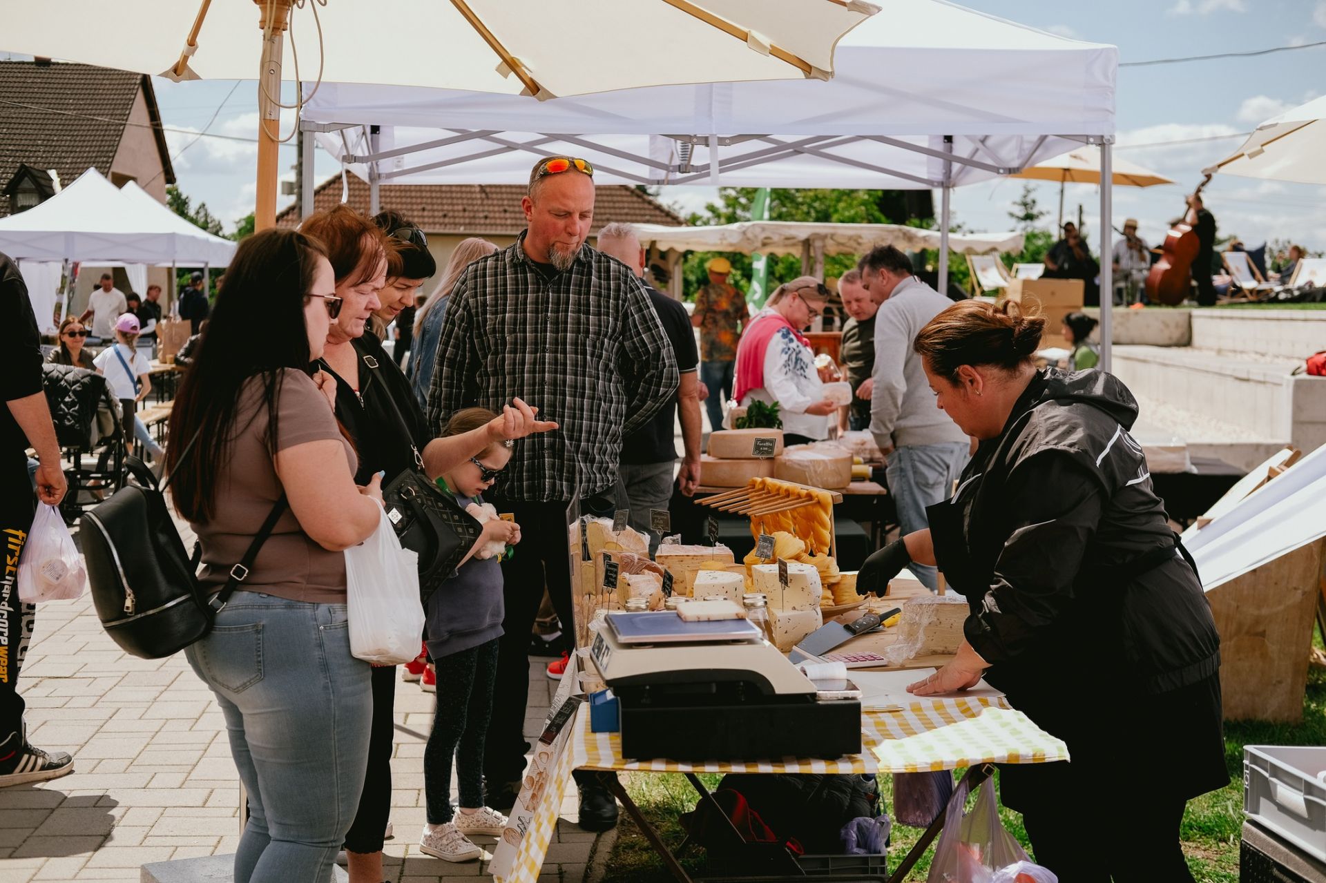 Sajtimádók Napja a Varázsvölgyben 2025. május 25.